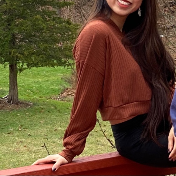 Rust Balloon Sleeve Crop Top - Picture 5 of 5